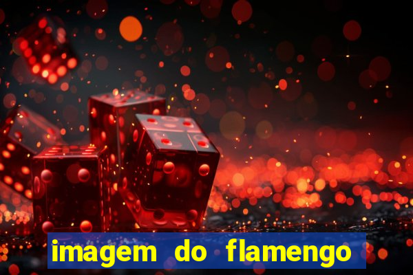 imagem do flamengo para perfil